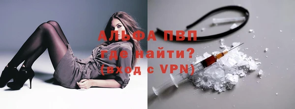 дмт Новодвинск