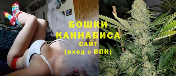 дмт Новодвинск
