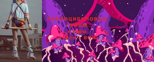 таблы Гатчина
