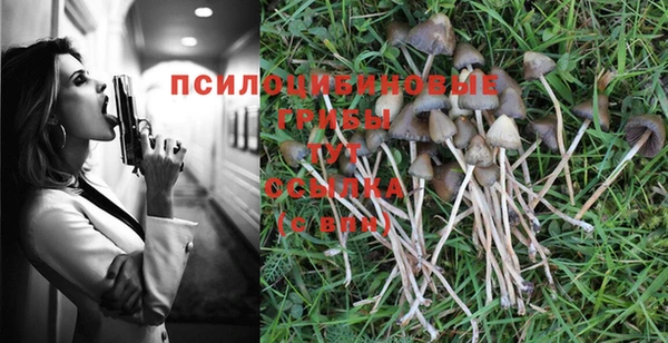гашиш Новозыбков