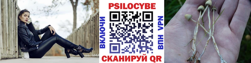 Псилоцибиновые грибы GOLDEN TEACHER  Полярный 