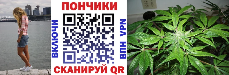 Канабис VHQ  Полярный 